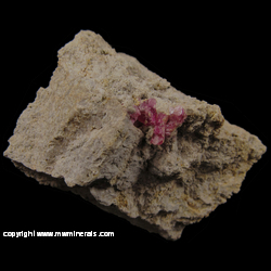 Minerals Specimen: Red Beryl (Bixbyite) from Wah Wah Mts., Beaver Co., Utah Minerals Specimen: Red Beryl (Bixbyite) from Wah Wah Mts., Beaver Co., Utah