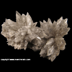 Minerals Specimen: Raidating Phantom Calcite Crystals from Chihuahua, Mexico Minerals Specimen: Raidating Phantom Calcite Crystals from Chihuahua, Mexico