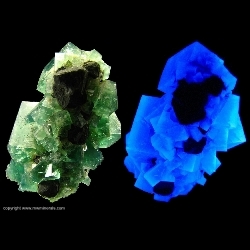 Minerals Specimen: Fluorite Stalactite with Galena from Rogerley Mine, Frosterley, Weardale, North Pennines, Co. Durham, England Minerals Specimen: Fluorite Stalactite with Galena from Rogerley Mine, Frosterley, Weardale, North Pennines, Co. Durham, England
