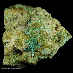 Minerals Specimen: Chalcophyllite from Majuba Hill Mine, Antelope District, Pershing County, Nevada, USA Minerals Specimen: Chalcophyllite from Majuba Hill Mine, Antelope District, Pershing County, Nevada, USA