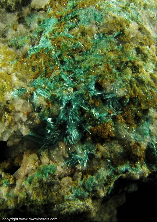Mineral Specimen: Chalcophyllite from Majuba Hill Mine, Antelope District, Pershing County, Nevada, USA