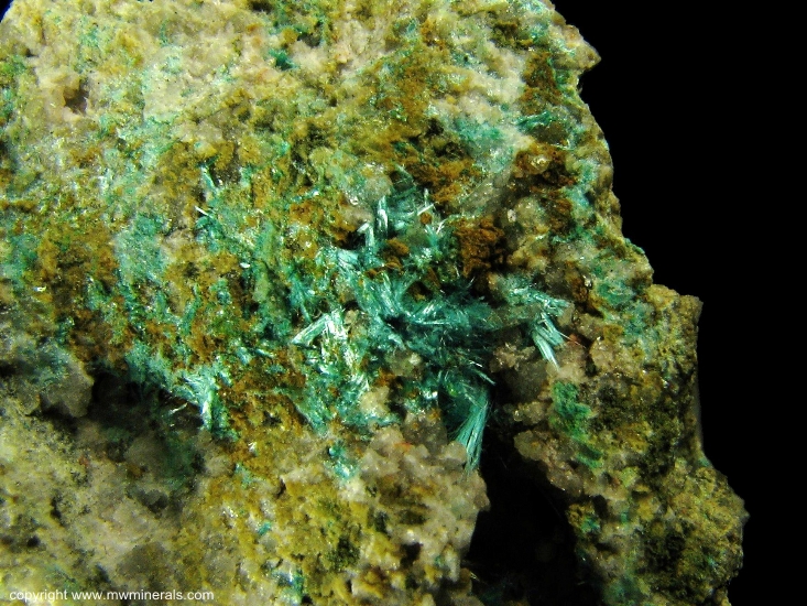 Mineral Specimen: Chalcophyllite from Majuba Hill Mine, Antelope District, Pershing County, Nevada, USA