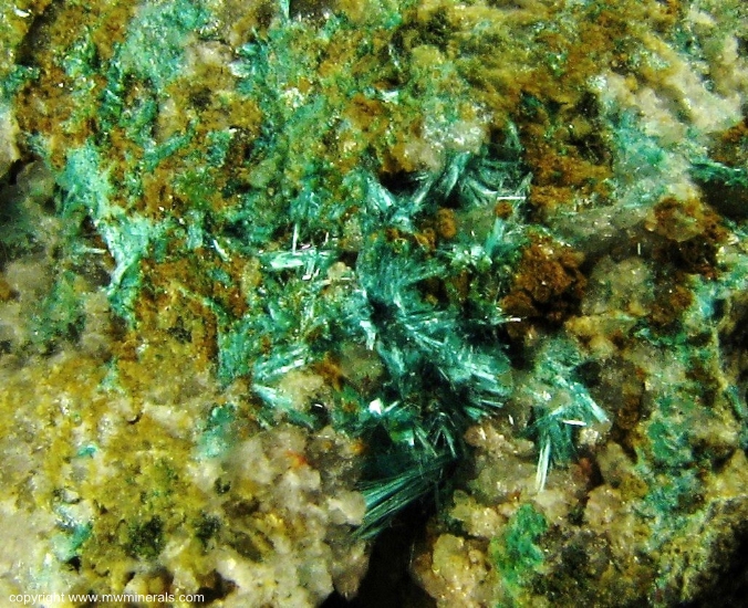 Mineral Specimen: Chalcophyllite from Majuba Hill Mine, Antelope District, Pershing County, Nevada, USA
