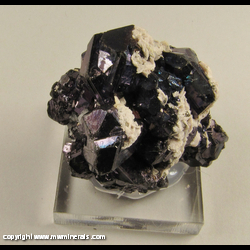 Mineral Specimen: Iridescent Sphalerite, Quartz, Calcite, minor Pyrite from Camp Bird Mine, Camp Bird, Sneffels District, Ouray, San Juan Mts, Ouray Co., Colorado Mineral Specimen: Iridescent Sphalerite, Quartz, Calcite, minor Pyrite from Camp Bird Mine, Camp Bird, Sneffels District, Ouray, San Juan Mts, Ouray Co., Colorado