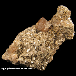 Mineral Specimen: Scheelite on Muscovite from Mt Xuebaoding, Pingwu Co., Mianyang Pref., Sichuan Prov., China Mineral Specimen: Scheelite on Muscovite from Mt Xuebaoding, Pingwu Co., Mianyang Pref., Sichuan Prov., China