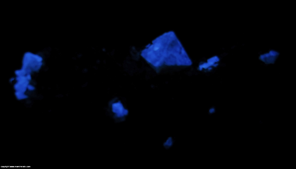 Fluorescent Mineral Specimen: Scheelite on Muscovite from Mt Xuebaoding, Pingwu Co., Mianyang Pref., Sichuan Prov., China Fluorescent Mineral Specimen: Scheelite on Muscovite from Mt Xuebaoding, Pingwu Co., Mianyang Pref., Sichuan Prov., China