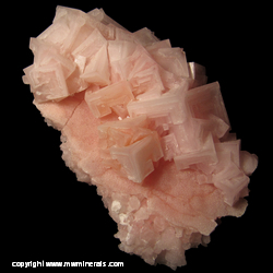 Minerals Specimen: Pink Halite Crystals from Searles Lake, San Bernardino Co., California Minerals Specimen: Pink Halite Crystals from Searles Lake, San Bernardino Co., California