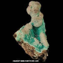 Mineral Specimen: Hemimorphite on Aurichalcite from Mina Ojuela, Mapimi, Durango, Mexico