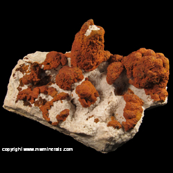 Mineral Specimen: Limonite on Stalactic Druze Quartz from Washington Co., Missouri Mineral Specimen: Limonite on Stalactic Druze Quartz from Washington Co., Missouri