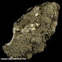 Mineral Specimen: Marcasite from Rensselaer Quarry, Pleasant Ridge, Jasper Co., Indiana