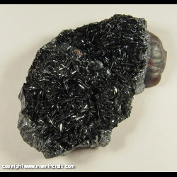 Minerals Specimen: Specular Hematite on Botryoidal Hemaite from Florence Mine, Egremont, West Cumberland Iron Field, Cumbria, England Minerals Specimen: Specular Hematite on Botryoidal Hemaite from Florence Mine, Egremont, West Cumberland Iron Field, Cumbria, England