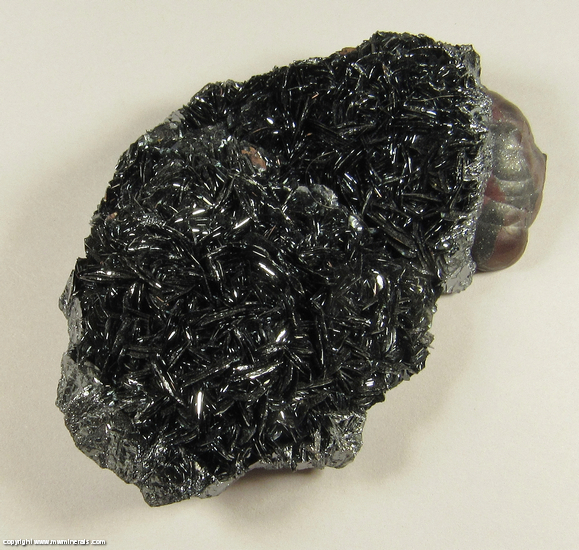 Mineral Specimen 5138 Specular Hematite on Botryoidal Hemaite from