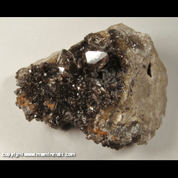Mineral Specimen: Herkimer Diamonds with Included Carbon from Ace of Diamonds Mine, Middleville, Town of Newport, Herkimer Co., New York Mineral Specimen: Herkimer Diamonds with Included Carbon from Ace of Diamonds Mine, Middleville, Town of Newport, Herkimer Co., New York