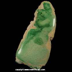 Minerals Specimen: Polished Variscite from Lucin District, Pilot Range, Box Elder Co., Utah Minerals Specimen: Polished Variscite from Lucin District, Pilot Range, Box Elder Co., Utah