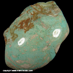 Mineral Specimen: Polished Turquoise from Tosca Mine, Ammaroo Station, Sandover, Barkly Region, Northern Territory, Australia
