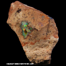Minerals Specimen: Fire and Cherry Opal in Rhyolite from Mexico Minerals Specimen: Fire and Cherry Opal in Rhyolite from Mexico