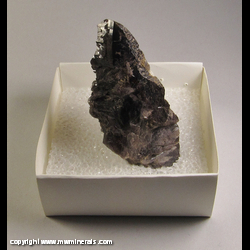 Mineral Specimen: Axinite (likely Axinite-(Fe)) from Baixa da Brauna farm, Guajeru, Bahia, Brazil Mineral Specimen: Axinite (likely Axinite-(Fe)) from Baixa da Brauna farm, Guajeru, Bahia, Brazil