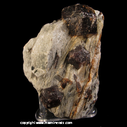 Mineral Specimen: Almandine Garnet in Schist from Roxbury, Litchfield Co., Connecticut Mineral Specimen: Almandine Garnet in Schist from Roxbury, Litchfield Co., Connecticut