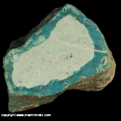 Minerals Specimen: Turquoise from Location Unknown Minerals Specimen: Turquoise from Location Unknown