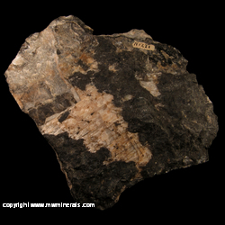 Mineral Specimen: Pectolite from Ash Creek, Mendocino Co., California Mineral Specimen: Pectolite from Ash Creek, Mendocino Co., California