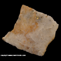 Mineral Specimen: Gold in Quartz with Sulfides from Alaska Mineral Specimen: Gold in Quartz with Sulfides from Alaska