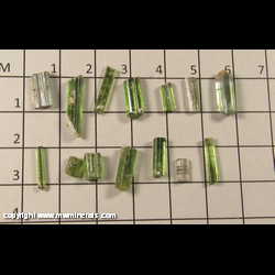 Mineral Specimen: 14 Elbaite Tourmaline Crystals from from a clay pocket, Stewart Mine, Pala, San Diego Co., California Mineral Specimen: 14 Elbaite Tourmaline Crystals from from a clay pocket, Stewart Mine, Pala, San Diego Co., California