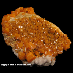 Minerals Specimen: Dipyramidal Wulfenite Crystals, Calcite from Ahumada Mine, Los Lamentos, Chihuahua, Mexico Minerals Specimen: Dipyramidal Wulfenite Crystals, Calcite from Ahumada Mine, Los Lamentos, Chihuahua, Mexico