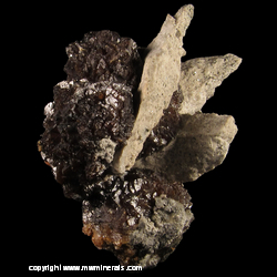 Mineral Specimen: Spahlerite with Micro Marcasite and Pyrite from Hanson Plum Run Quarry, Peebles, Adams Co., Ohio Mineral Specimen: Spahlerite with Micro Marcasite and Pyrite from Hanson Plum Run Quarry, Peebles, Adams Co., Ohio