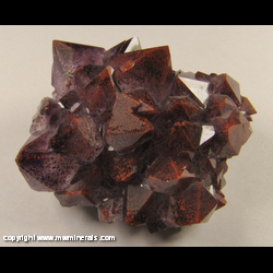 Mineral Specimen: Amethyst with Included Hematite (Auralite) from Diamond Willow Mine, near Pearl Station, McTavish Twp., Thunder Bay Dist., Ontario, Canada Mineral Specimen: Amethyst with Included Hematite (Auralite) from Diamond Willow Mine, near Pearl Station, McTavish Twp., Thunder Bay Dist., Ontario, Canada