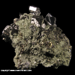 Mineral Specimen: Spinel Twin Galena, Chlorite, Quartz, Sphalerite, Pyrite, Chalcopyrite from Septemvri mine, Madan, Rhodope Mts, Smolyan Oblast, Bulgaria Mineral Specimen: Spinel Twin Galena, Chlorite, Quartz, Sphalerite, Pyrite, Chalcopyrite from Septemvri mine, Madan, Rhodope Mts, Smolyan Oblast, Bulgaria
