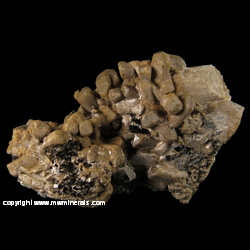Minerals Specimen: Scapolite variety: Mizzonite wih Biotite from Susan lode, Custer, Custer District, Custer Co., South Dakota Minerals Specimen: Scapolite variety: Mizzonite wih Biotite from Susan lode, Custer, Custer District, Custer Co., South Dakota
