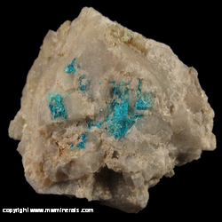 Minerals Specimen: Sampleite from Chuquicamata Mine, Chuquicamata Dist., Calama, El Loa Prov., Antofagasta Region, Chile Minerals Specimen: Sampleite from Chuquicamata Mine, Chuquicamata Dist., Calama, El Loa Prov., Antofagasta Region, Chile