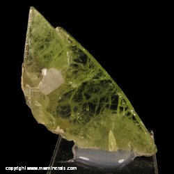 Minerals Specimen: Titanite, Albite from Alchuri, Shigar Valley, Balistan, Northern areas, Pakistan Minerals Specimen: Titanite, Albite from Alchuri, Shigar Valley, Balistan, Northern areas, Pakistan