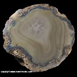 Mineral Specimen: Shadow Agate from Chihuahua, Mexico Mineral Specimen: Shadow Agate from Chihuahua, Mexico