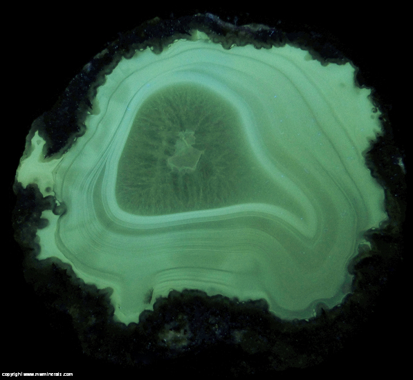 Fluorescent Mineral Specimen: Shadow Agate from Chihuahua, Mexico Fluorescent Mineral Specimen: Shadow Agate from Chihuahua, Mexico