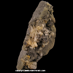 Minerals Specimen: Cerussite from Bunker Hill Mine, Bunker Hill Properties, Kellogg, Coeur d'Alene District, Shoshone Co., Idaho Minerals Specimen: Cerussite from Bunker Hill Mine, Bunker Hill Properties, Kellogg, Coeur d'Alene District, Shoshone Co., Idaho