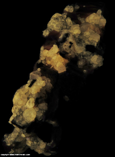 Fluorescent Mineral Specimen: Cerussite, Barite, Galena from Mibladen, Morocco Fluorescent Mineral Specimen: Cerussite, Barite, Galena from Mibladen, Morocco