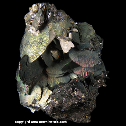 Mineral Specimen: Iridescent Hematite Crystals with Quartz from Isle of Elba, Livorno Province, Tuscany, italy Mineral Specimen: Iridescent Hematite Crystals with Quartz from Isle of Elba, Livorno Province, Tuscany, italy