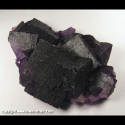 Mineral Specimen: Fluorite from Hill-Leadford Mine, Cave-In-Rock, Hardin Co., Illinois Mineral Specimen: Fluorite from Hill-Leadford Mine, Cave-In-Rock, Hardin Co., Illinois