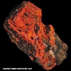 Mineral Specimen: Crocoite on Goethite from Red Lead Mine, Dundas, Tasmania, Australia Mineral Specimen: Crocoite on Goethite from Red Lead Mine, Dundas, Tasmania, Australia