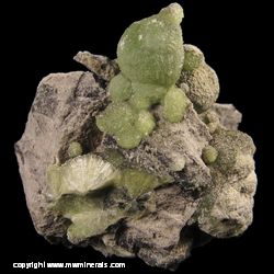 Minerals Specimen: Wavellite from Montgomery Co., Arkansas Minerals Specimen: Wavellite from Montgomery Co., Arkansas