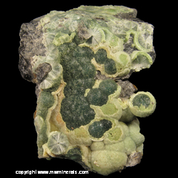 Minerals Specimen: Wavellite from Montgomery Co., Arkansas Minerals Specimen: Wavellite from Montgomery Co., Arkansas