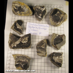 Mineral Specimen: Segements (9) of Septarian Nodule with Quartz variety: Mirabeau Diamanten and Druze Calcite from Le Mardaric ravine septaria occurrence, Sisteron, Alpes-de-Haute-Provence, Provence-Alpes-Cote d'Azur, France Mineral Specimen: Segements (9) of Septarian Nodule with Quartz variety: Mirabeau Diamanten and Druze Calcite from Le Mardaric ravine septaria occurrence, Sisteron, Alpes-de-Haute-Provence, Provence-Alpes-Cote d'Azur, France