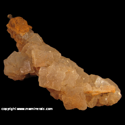 Minerals Specimen: Fluorescent Halite Crystals on Sage Brush Stem from Salton Sea, San Bernardino Co., California Minerals Specimen: Fluorescent Halite Crystals on Sage Brush Stem from Salton Sea, San Bernardino Co., California