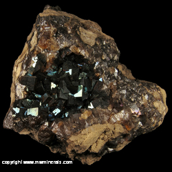 Minerals Specimen: Iridescent Rootbeer Fluorite from Auglaze Quarry, Defiance, Ohio, USA Minerals Specimen: Iridescent Rootbeer Fluorite from Auglaze Quarry, Defiance, Ohio, USA