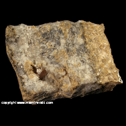 Minerals Specimen: Scheelite, Quartz, possible Ferberite variety: Reinite, minor Chalcopyrite from Stope of 200 foot level. Rawhide Tungsten property. Eagleville District. Mineral Co.. Nevada Minerals Specimen: Scheelite, Quartz, possible Ferberite variety: Reinite, minor Chalcopyrite from Stope of 200 foot level. Rawhide Tungsten property. Eagleville District. Mineral Co.. Nevada