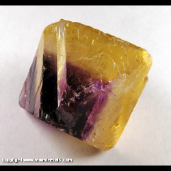 Mineral Specimen: Yellow and Purple Fluorite Octahedron with Double Offset Cleavage and Included Chalcopyrite from Cave-In-Rock, Hardin Co., Illinois Mineral Specimen: Yellow and Purple Fluorite Octahedron with Double Offset Cleavage and Included Chalcopyrite from Cave-In-Rock, Hardin Co., Illinois