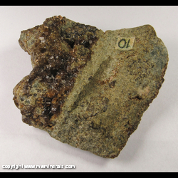 Mineral Specimen: Andradite Garnet in Garnet/Vesuvianite Skarn from Grua Mining District, Grua, Lunner, Oppland, Norway Mineral Specimen: Andradite Garnet in Garnet/Vesuvianite Skarn from Grua Mining District, Grua, Lunner, Oppland, Norway