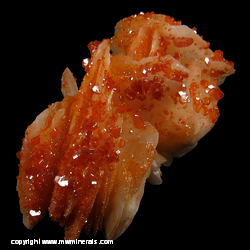 Minerals Specimen: Vanadinite on Barite from Mibladen, Morocco Minerals Specimen: Vanadinite on Barite from Mibladen, Morocco
