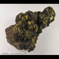 Mineral Specimen: Chalcopyrite Epitaxial Growth on Rubyjack Sphalerite from Tri State District, Galena, Kansas Mineral Specimen: Chalcopyrite Epitaxial Growth on Rubyjack Sphalerite from Tri State District, Galena, Kansas